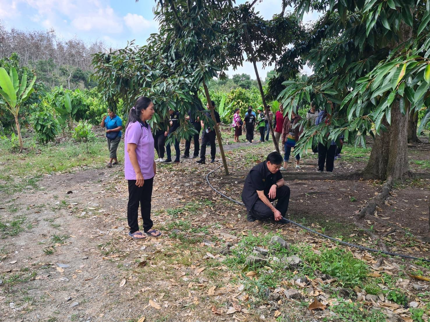 title - ผู้ตรวจราชการกรม ประชุมติดตามผลการดำเนินงานตามแผนการตรวจราชการของ ส.ป.ก. ประจำปีงบประมาณ พ.ศ. 2569 รอบที่ 1 จังหวัดประจวบคีรีขันธ์